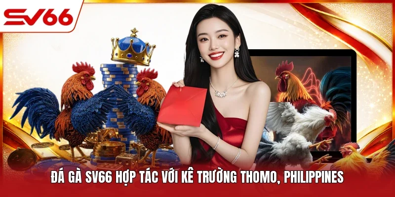 Đá gà SV66 hợp tác với kê trường Thomo, Philippines